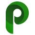 platejka-icon